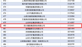 德胜集团连续14年上榜中国企业500强